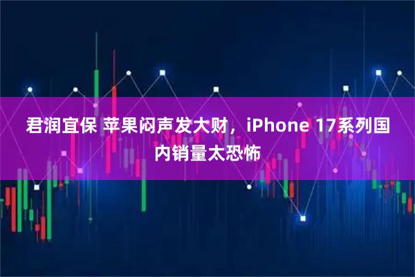 君润宜保 苹果闷声发大财，iPhone 17系列国内销量太恐怖