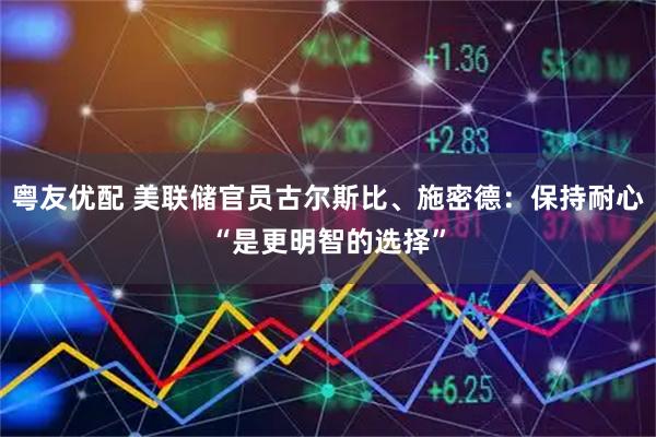 粤友优配 美联储官员古尔斯比、施密德：保持耐心“是更明智的选择”