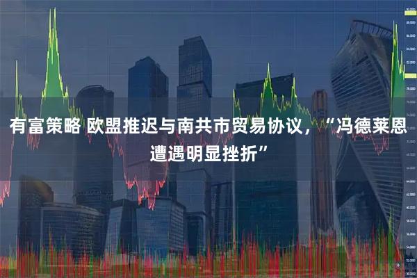 有富策略 欧盟推迟与南共市贸易协议，“冯德莱恩遭遇明显挫折”